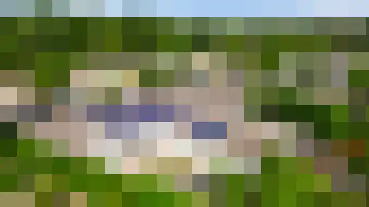 Heggerank 19 Echt thumbnail 49