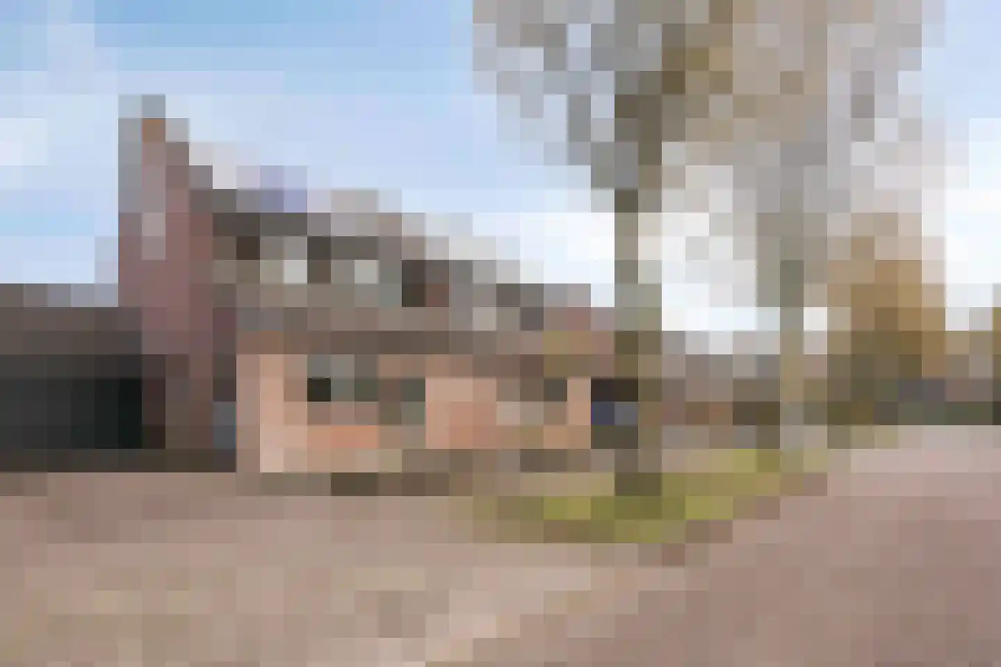 Heggerank 24 in Lochem
