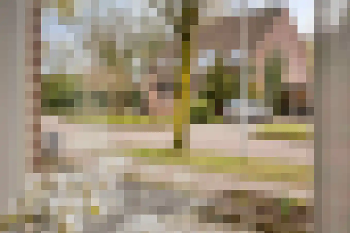 Heggerank 24 Lochem thumbnail 22