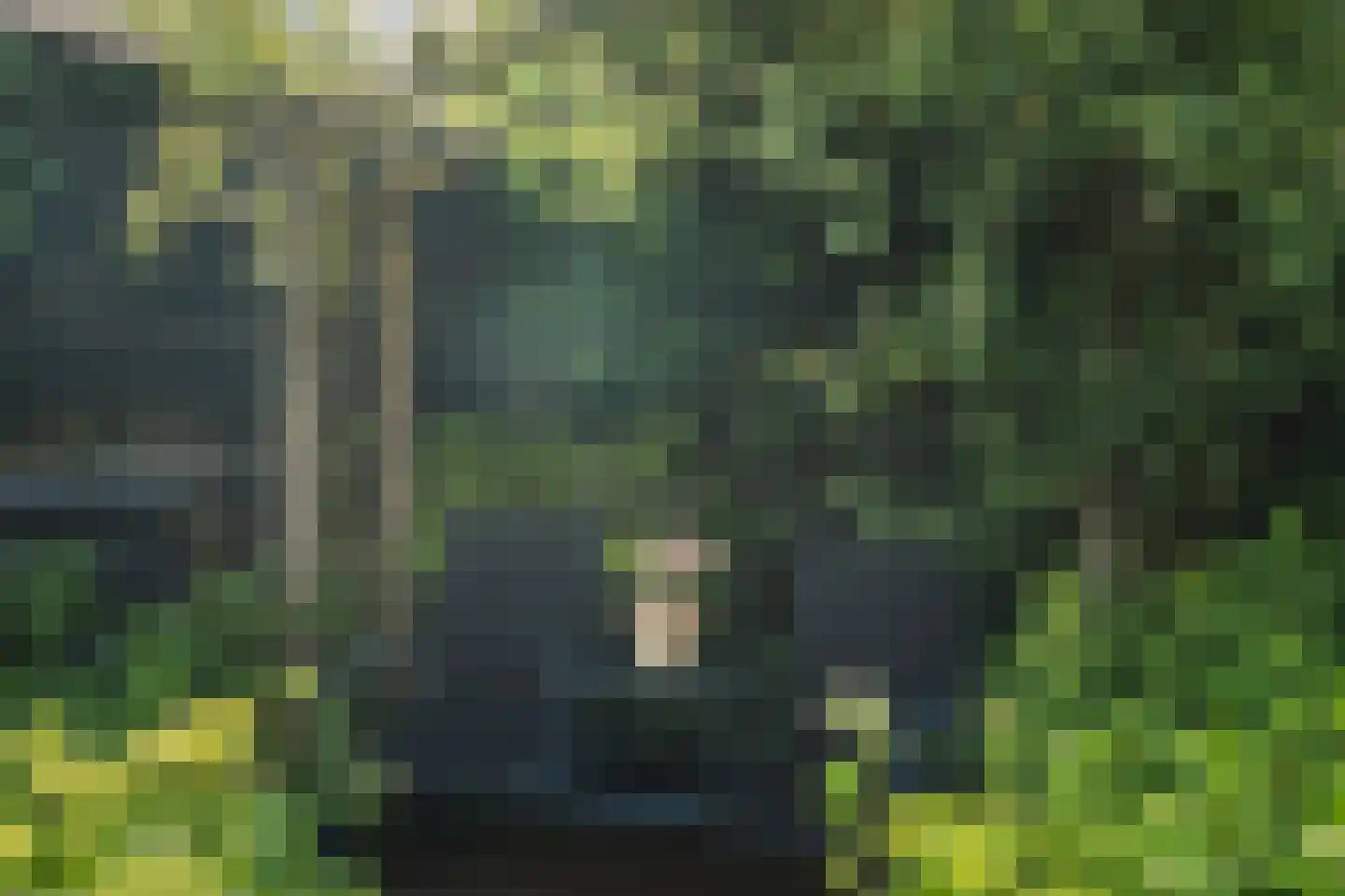 Heggerank 24 Lochem thumbnail 38
