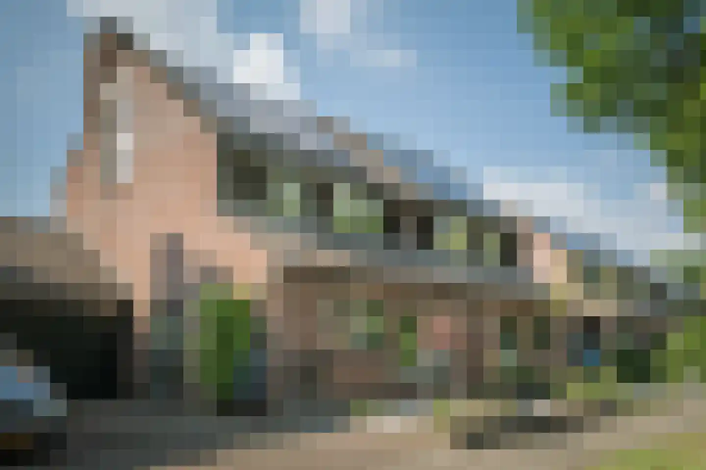 Heggerank 24 Lochem thumbnail 40