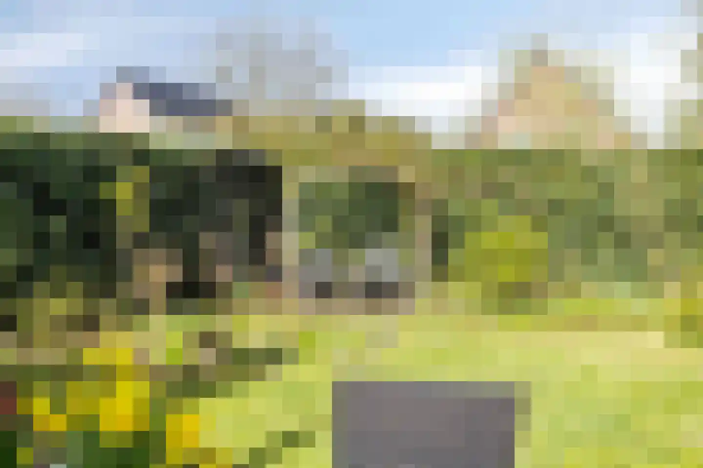 Heggerank 24 Lochem thumbnail 8