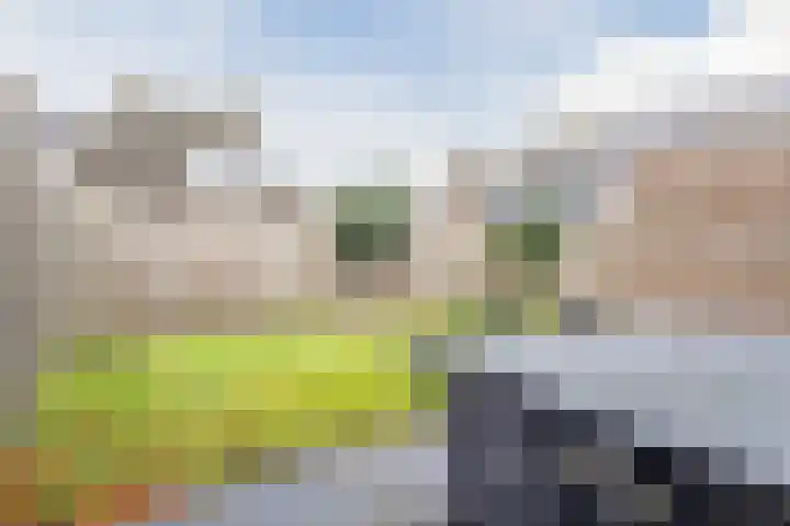 Heggerank 25 Cuijk thumbnail 21