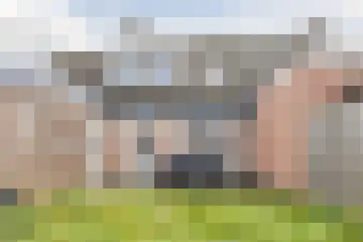 Heggerank 25 Cuijk thumbnail 22