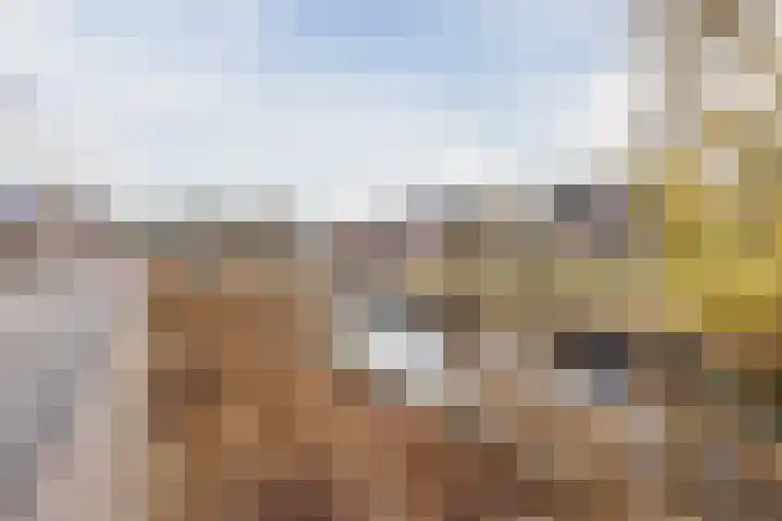 Heggerank 25 Cuijk thumbnail 24