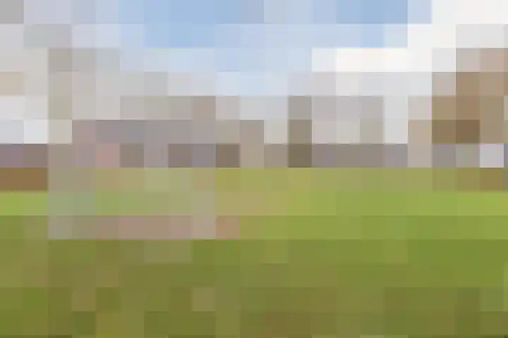 Heggerank 25 Cuijk thumbnail 25