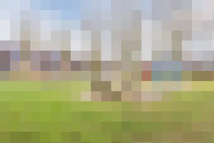 Heggerank 25 Cuijk thumbnail 26