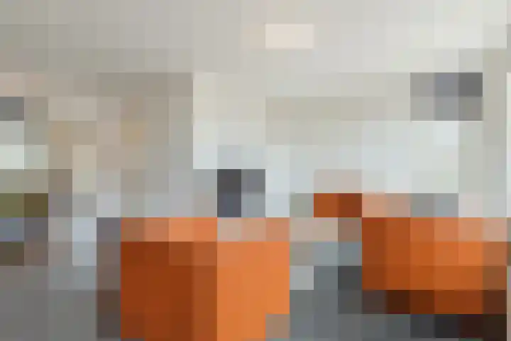 Heggerank 25 Cuijk thumbnail 6