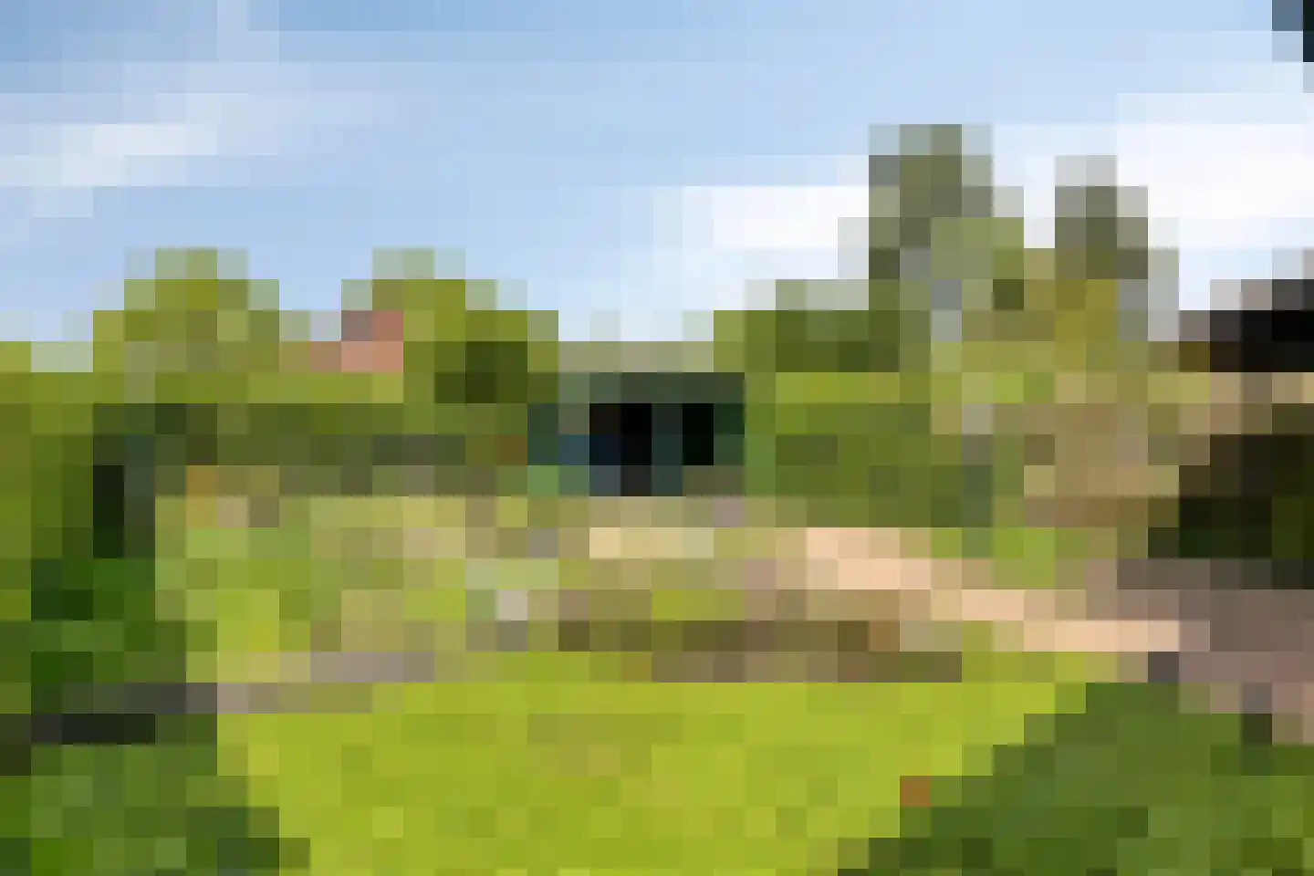 Heggerank 26 Lochem foto 3
