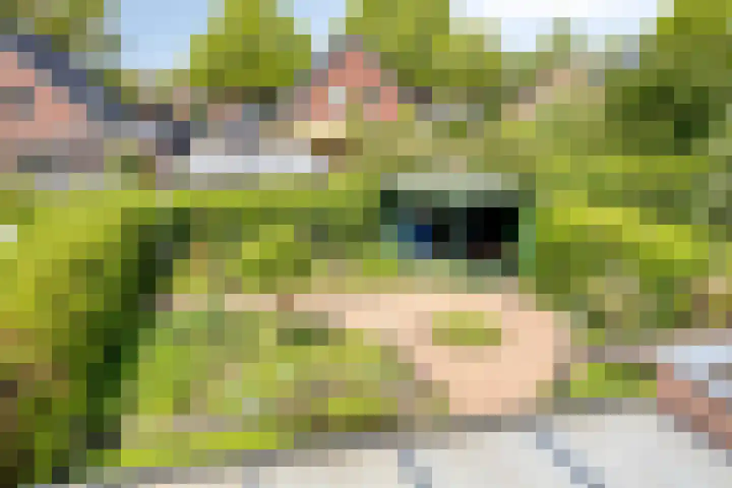 Heggerank 26 Lochem thumbnail 32