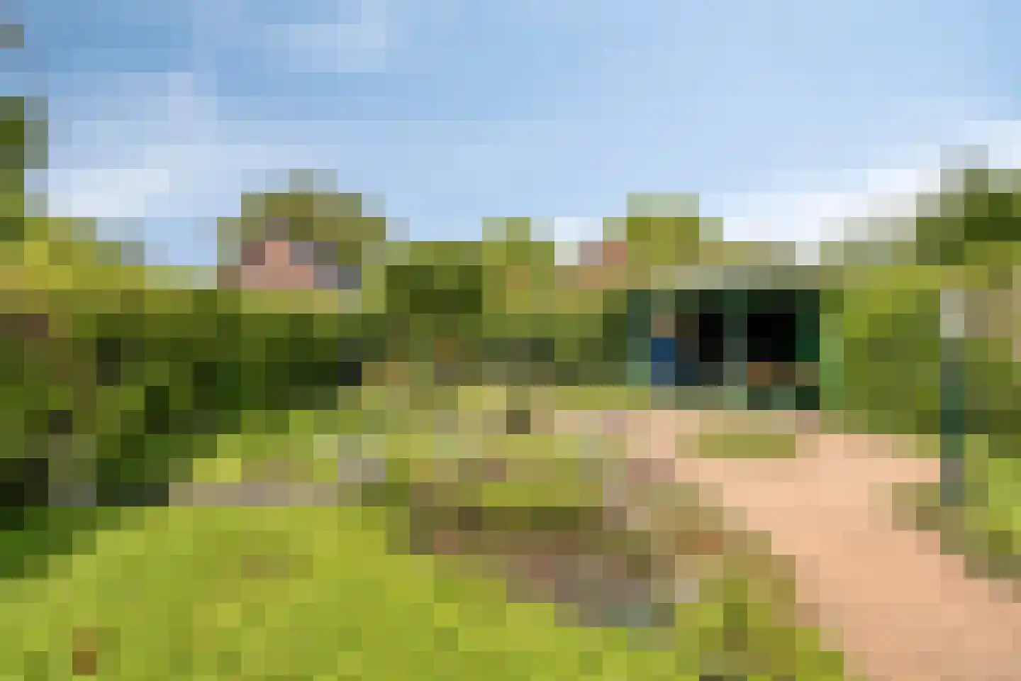Heggerank 26 Lochem thumbnail 36
