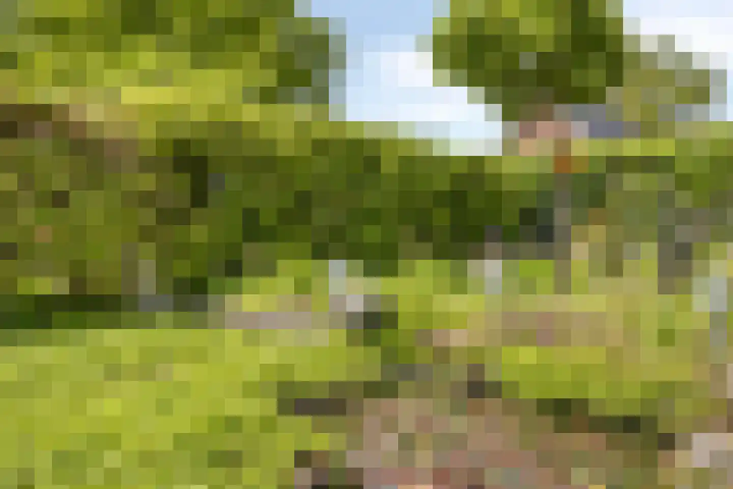 Heggerank 26 Lochem thumbnail 37