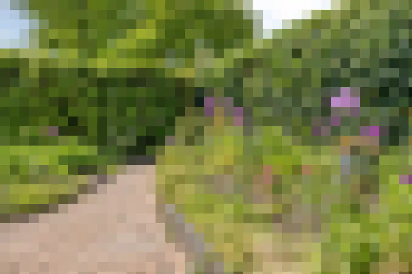 Heggerank 26 Lochem thumbnail 38