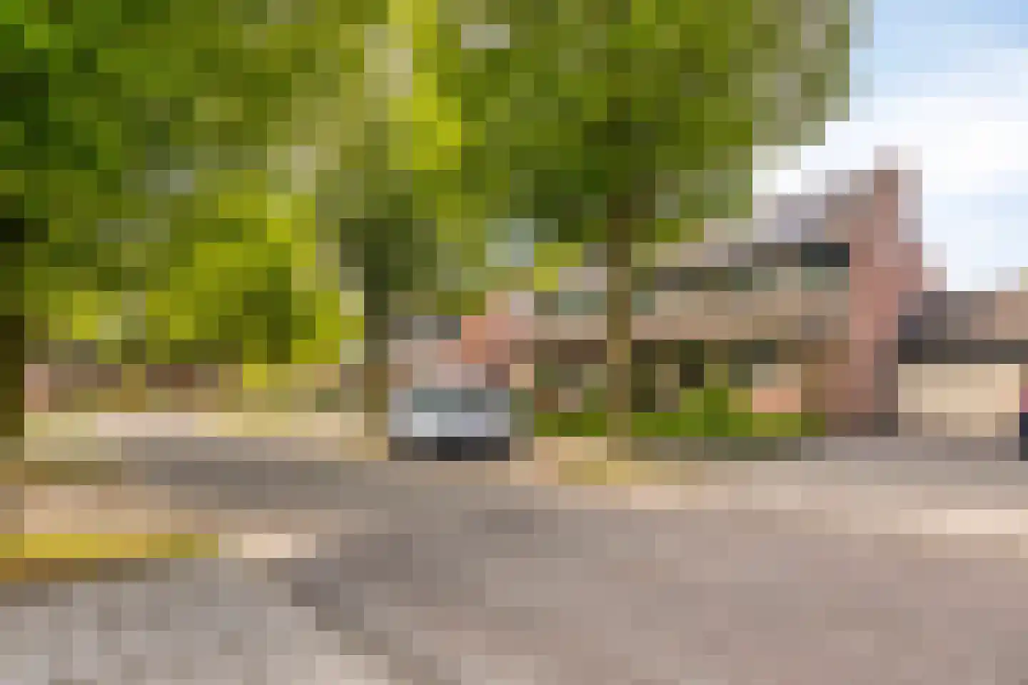 Heggerank 26 Lochem thumbnail 42