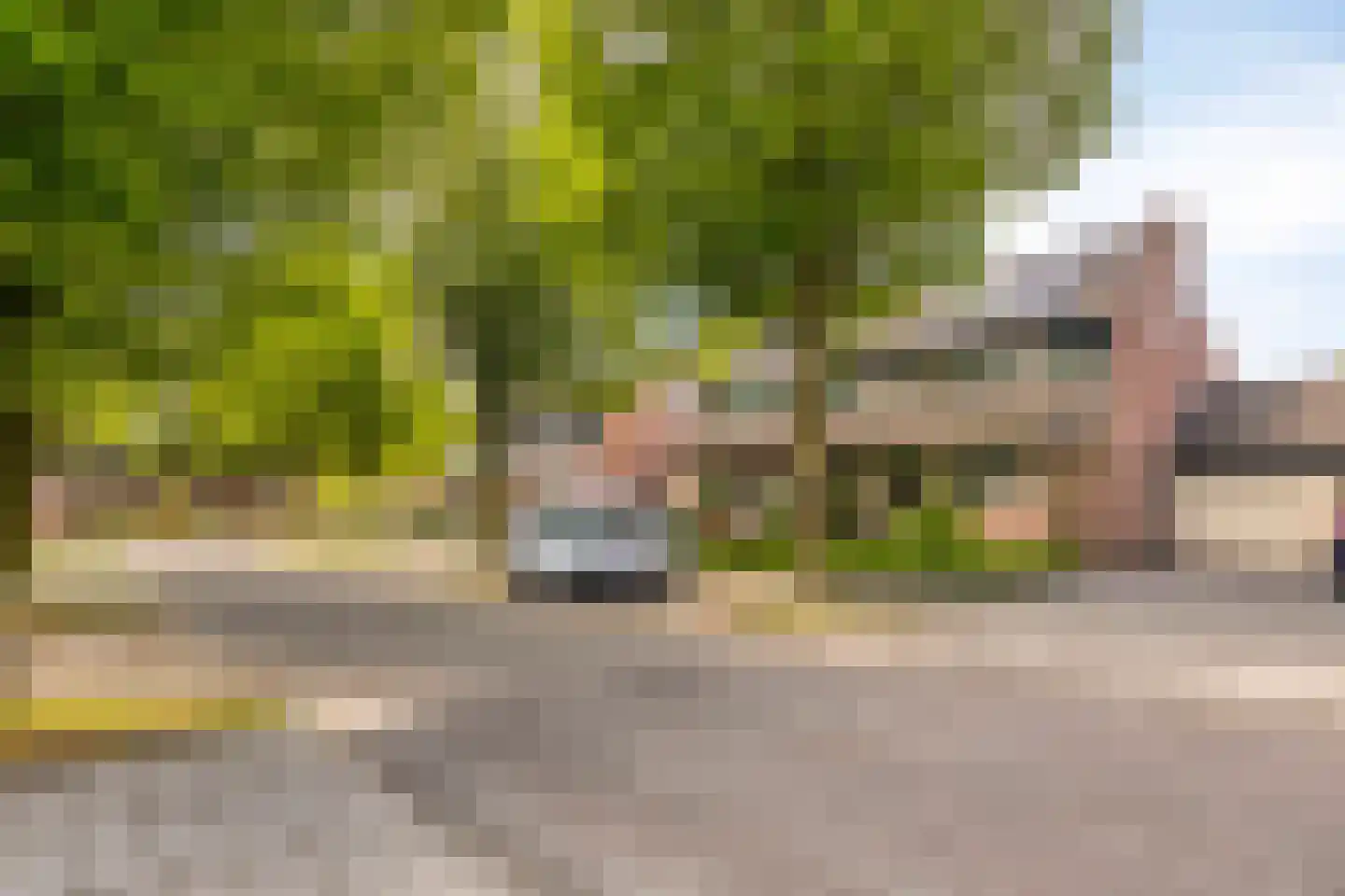 Heggerank 26 Lochem thumbnail 42