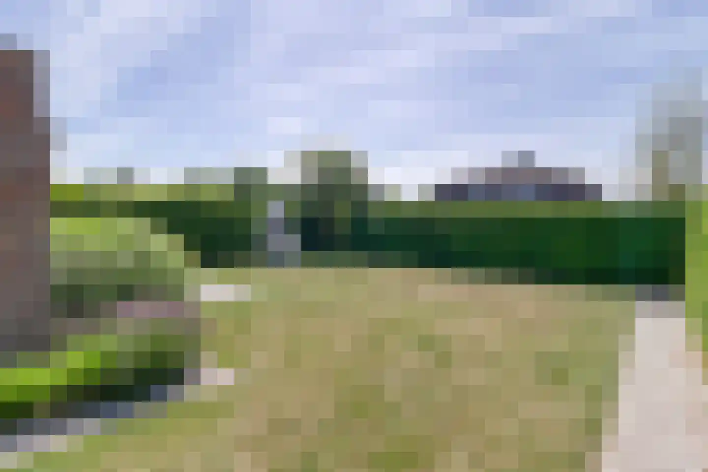 Heggerank 3 A Nieuwvliet foto 2