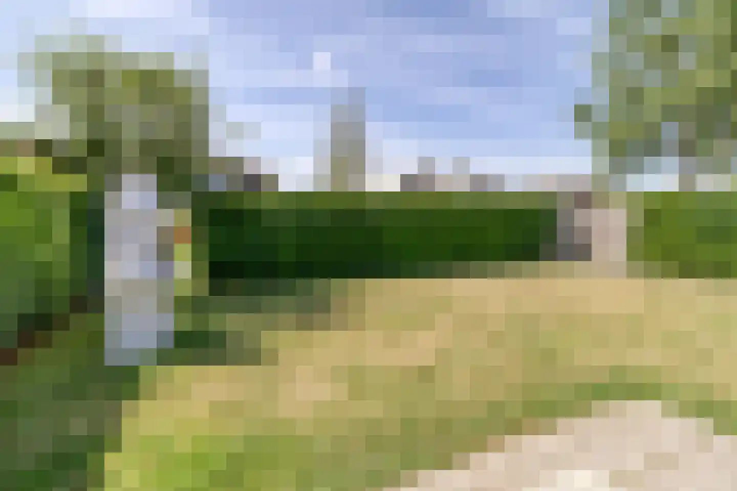 Heggerank 3 A Nieuwvliet foto 3