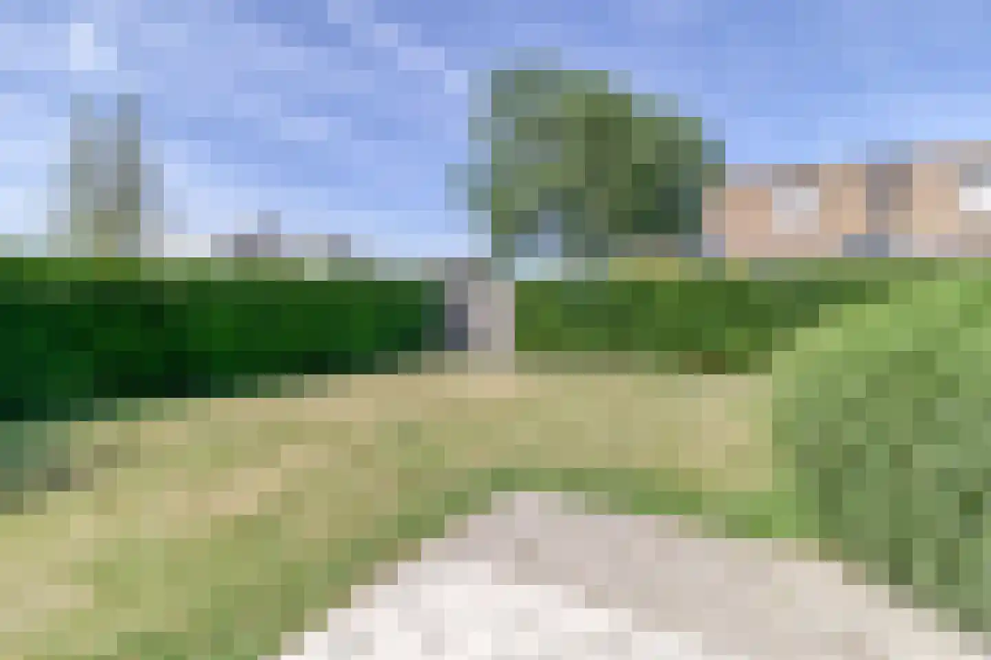 Heggerank 3 A Nieuwvliet thumbnail 31