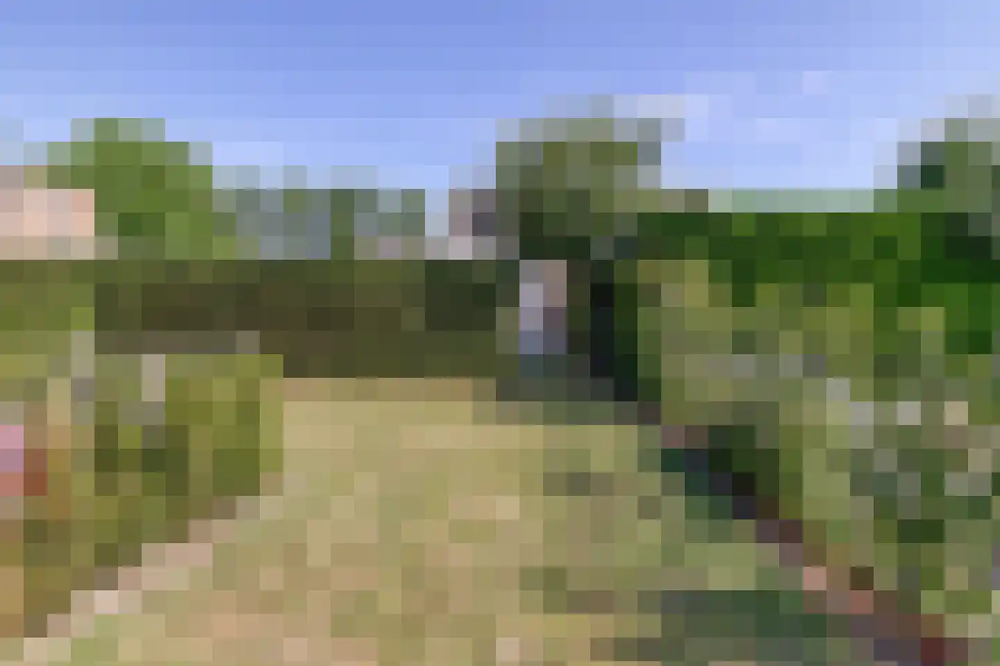 Heggerank 3 A Nieuwvliet thumbnail 32