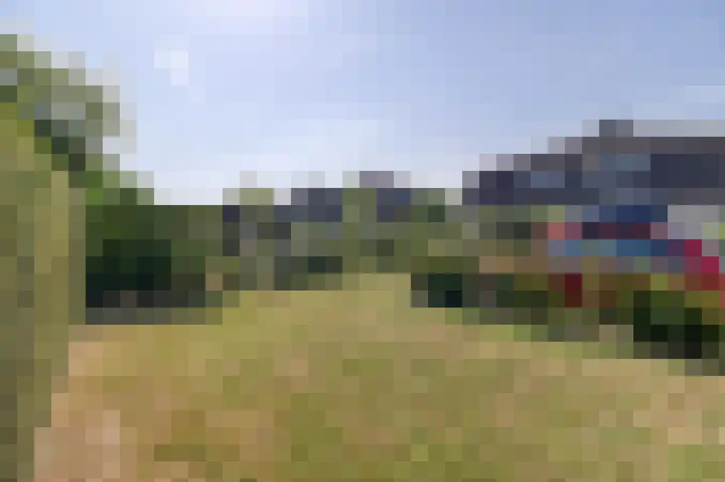 Heggerank 3 A Nieuwvliet thumbnail 33
