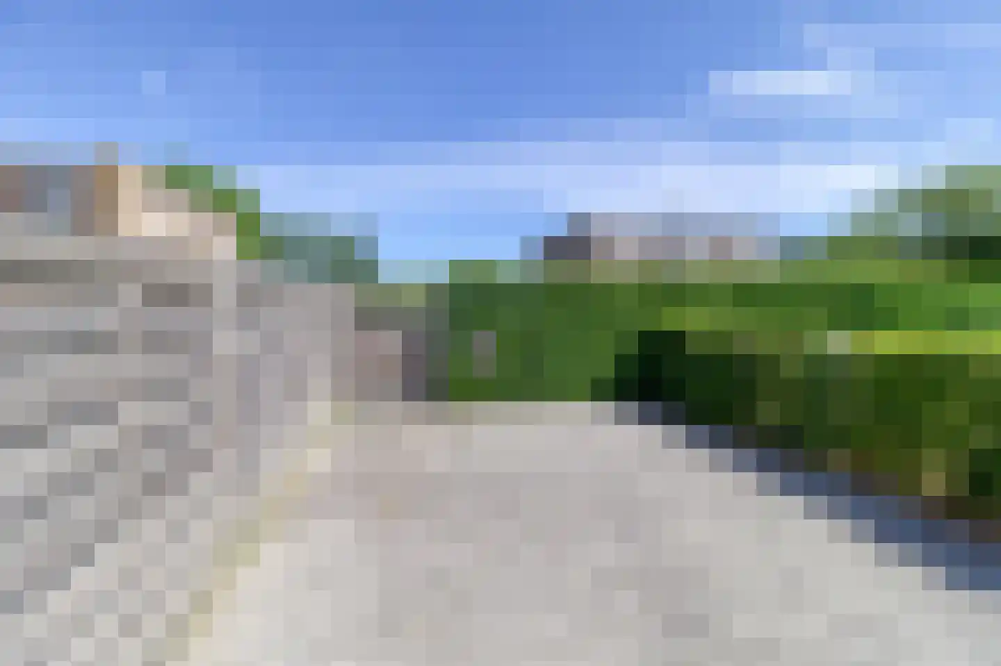 Heggerank 3 A Nieuwvliet thumbnail 34