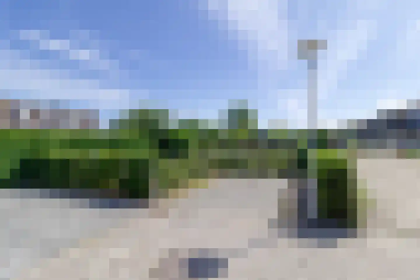 Heggerank 3 A Nieuwvliet thumbnail 35