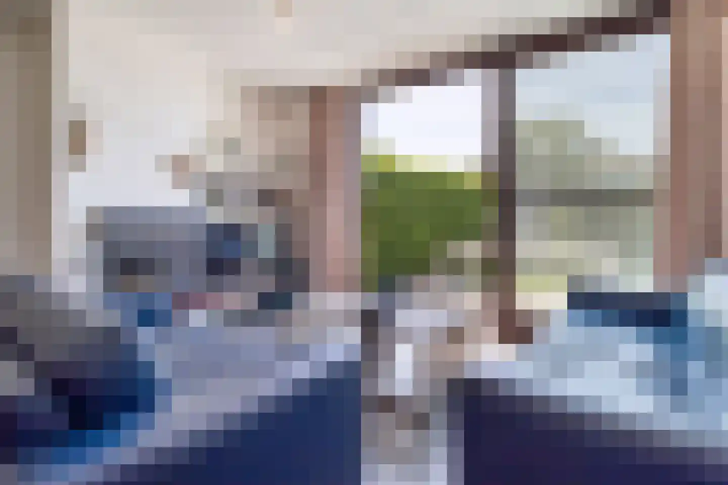 Heggerank 3 A Nieuwvliet thumbnail 5