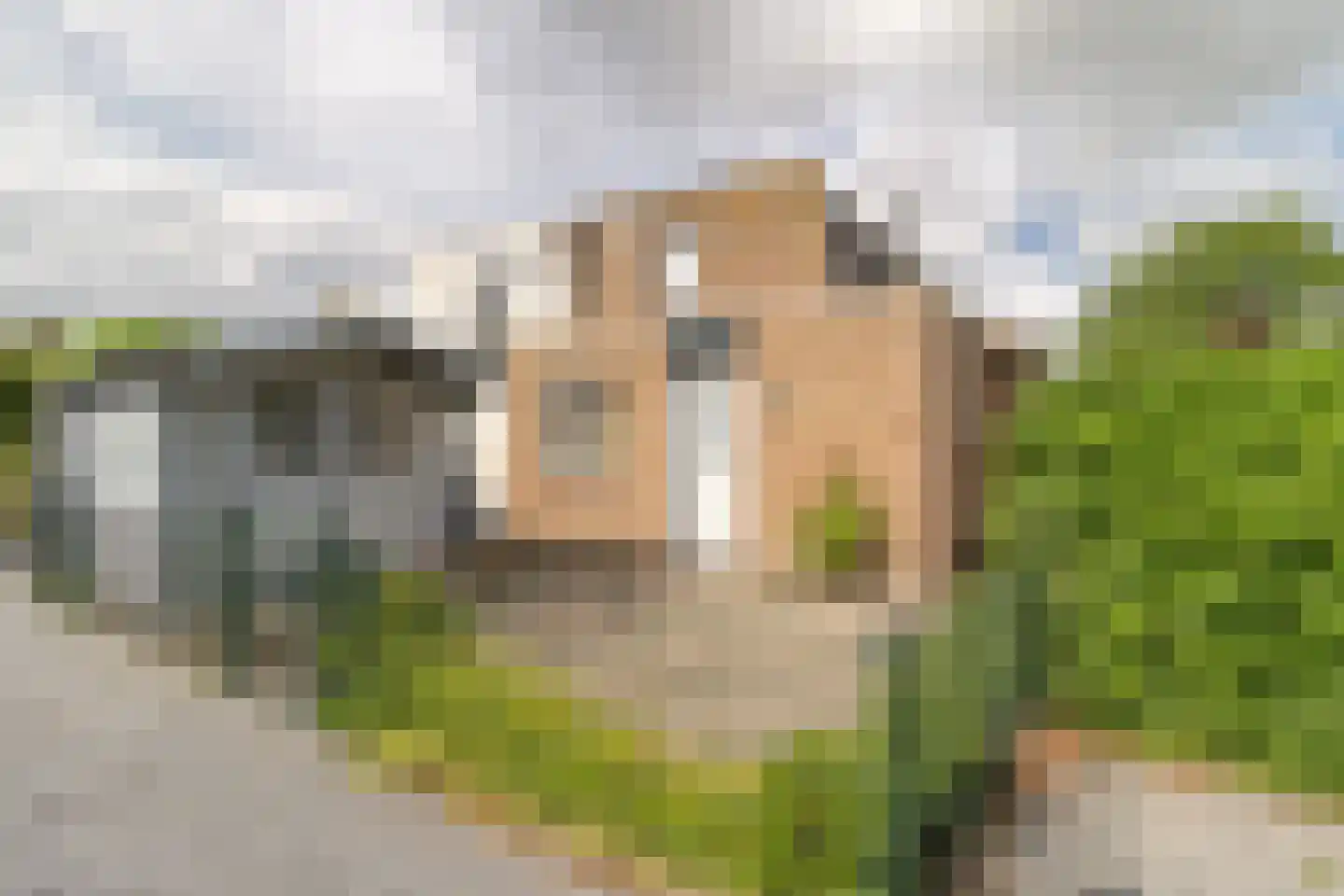 Heggerank 3 C in Nieuwvliet