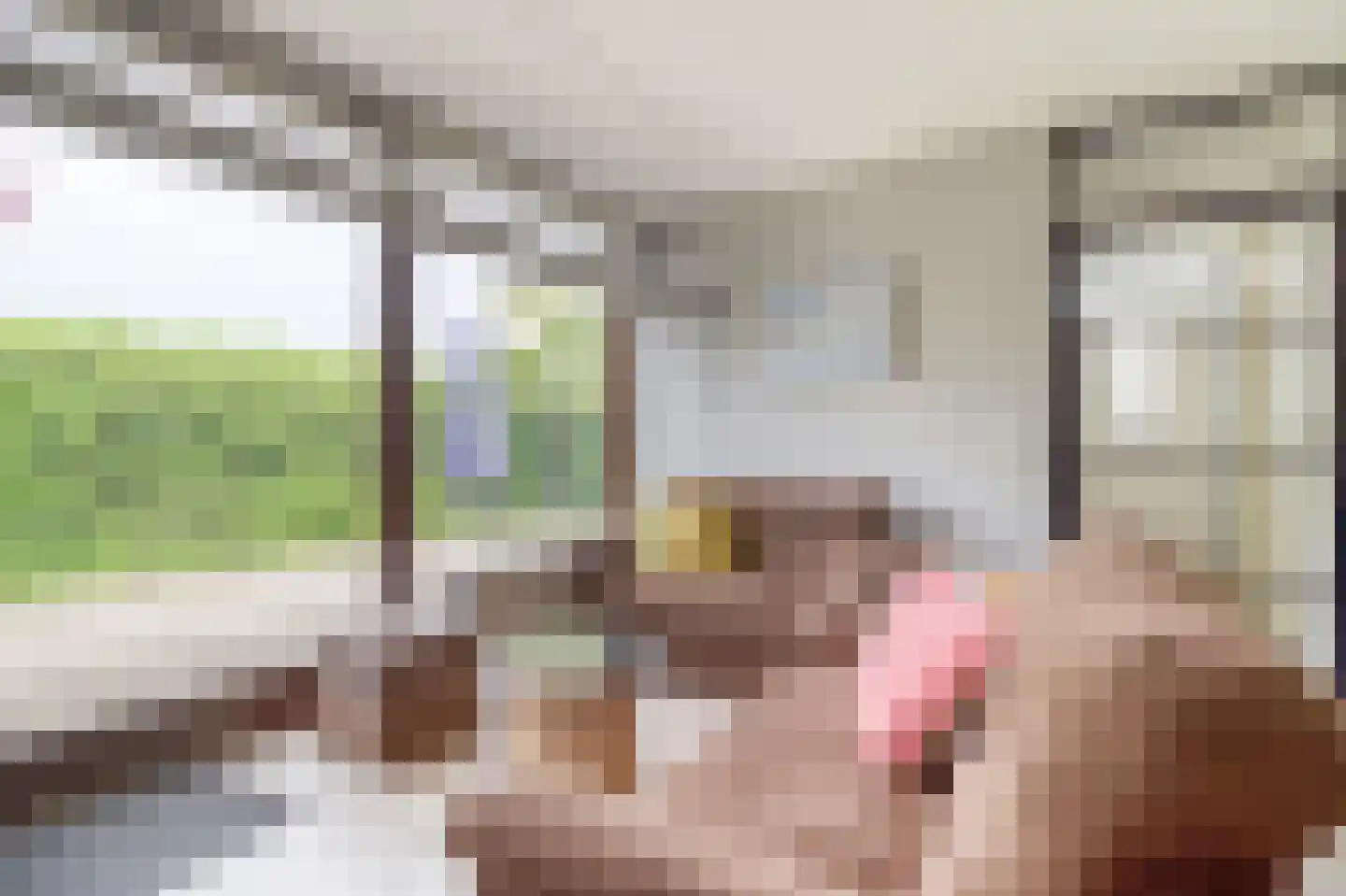 Heggerank 3 C Nieuwvliet thumbnail 14