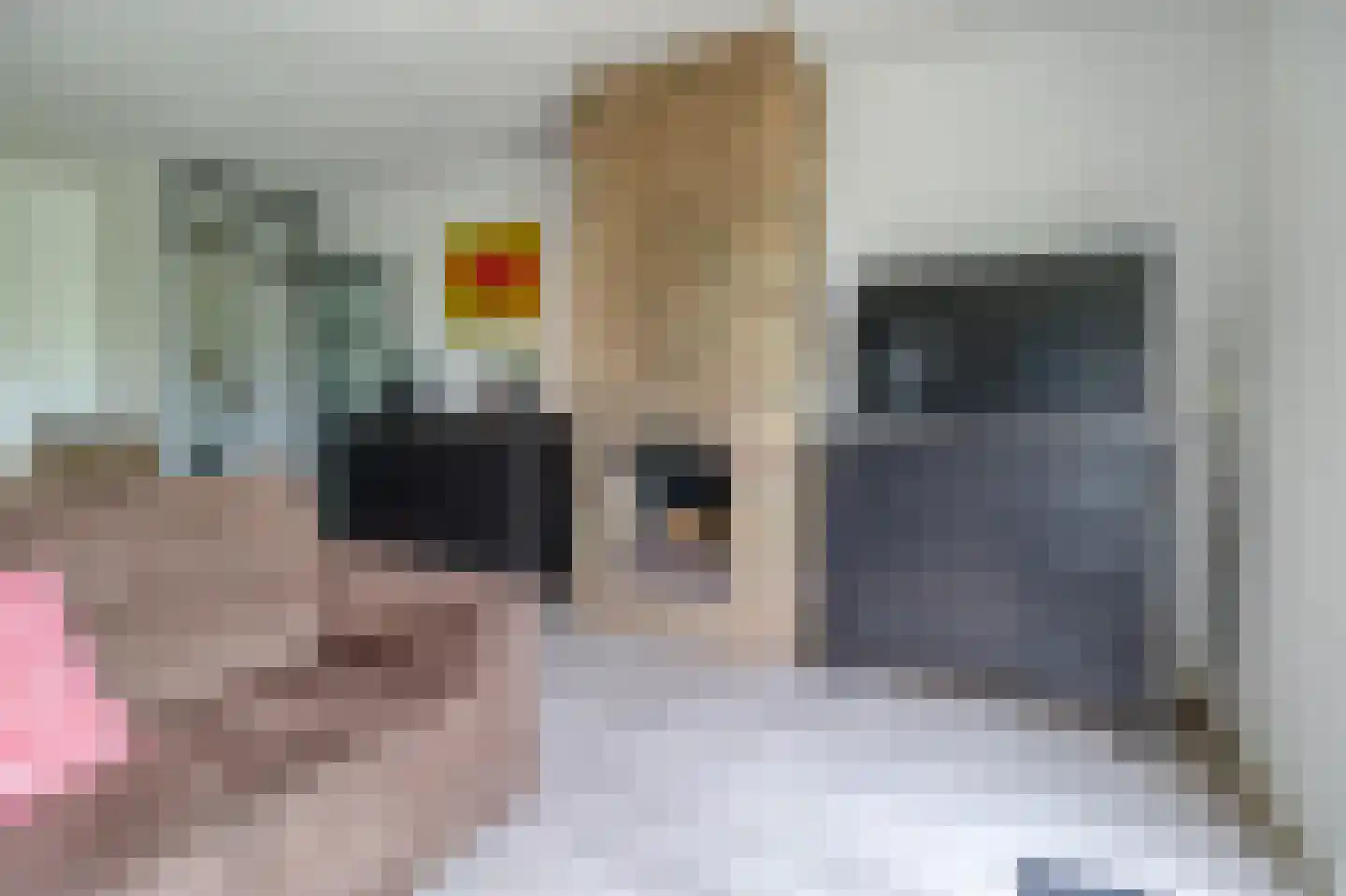 Heggerank 3 C Nieuwvliet thumbnail 15