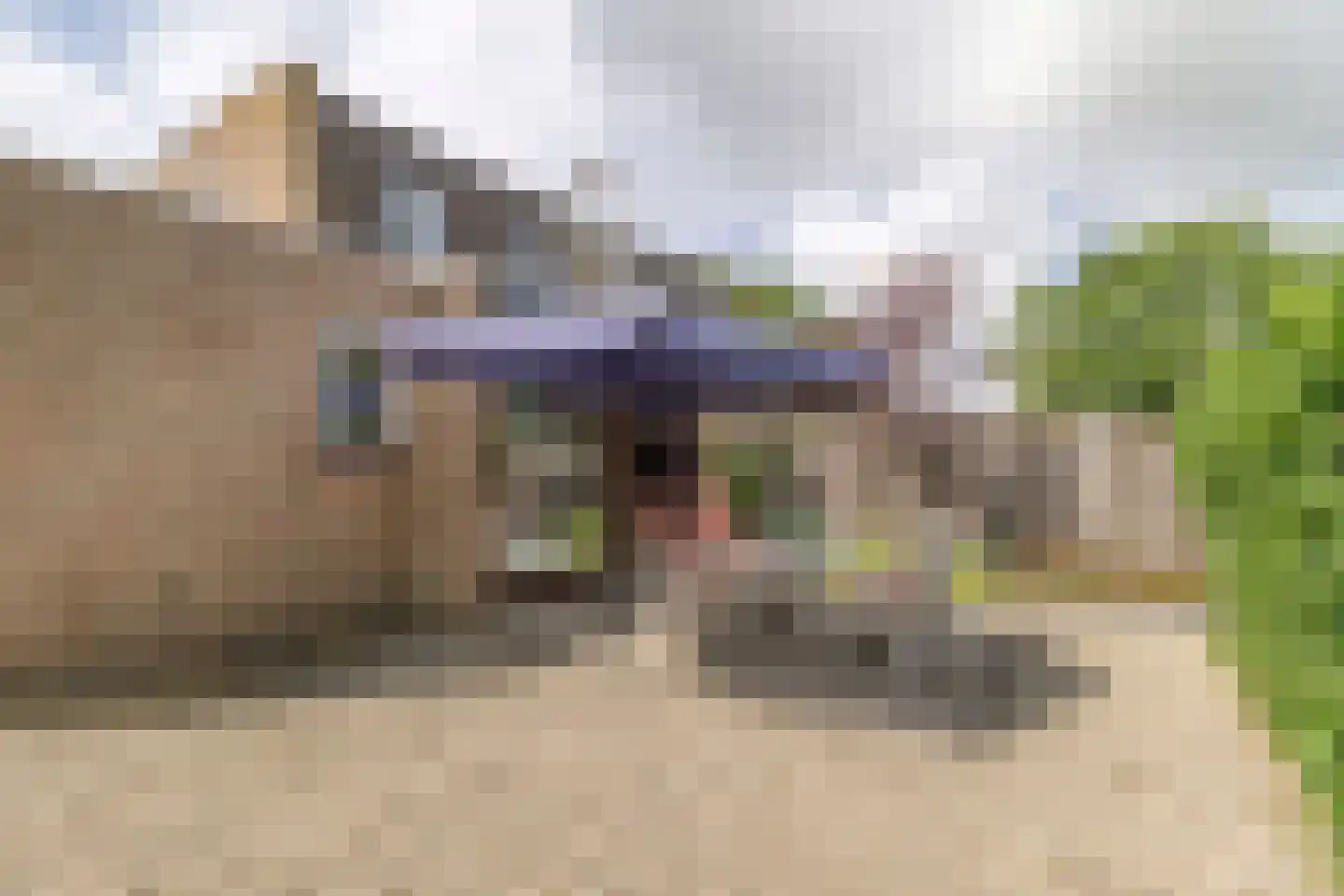 Heggerank 3 C Nieuwvliet thumbnail 22