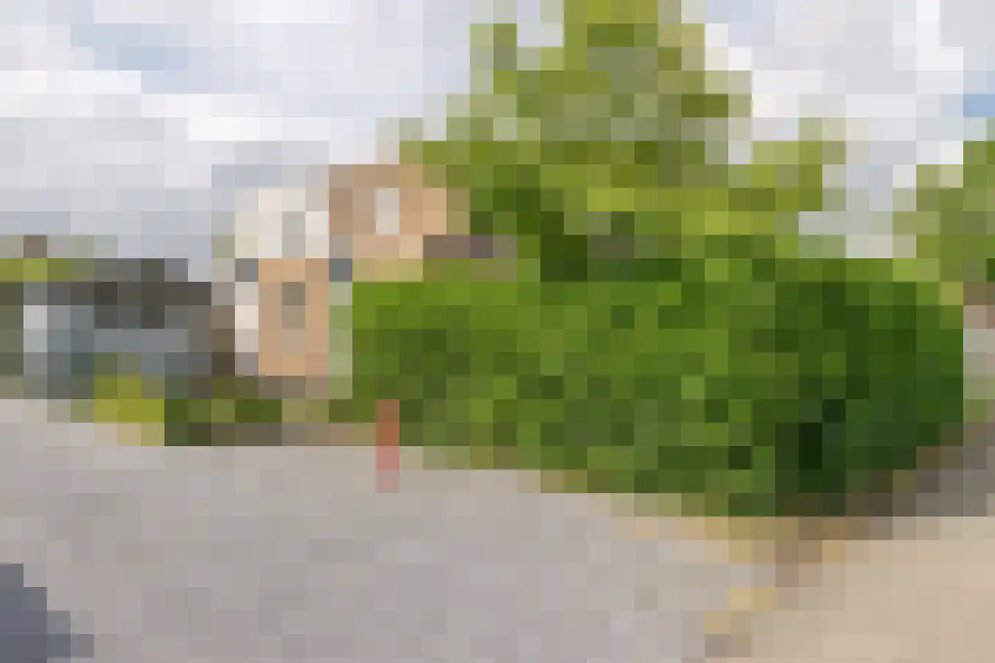 Heggerank 3 C Nieuwvliet thumbnail 23