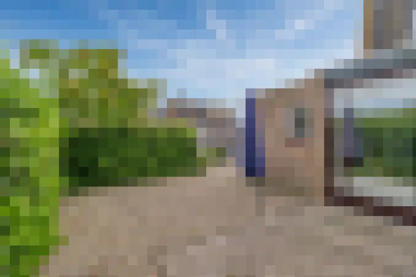 Heggerank 3 C Nieuwvliet thumbnail 29