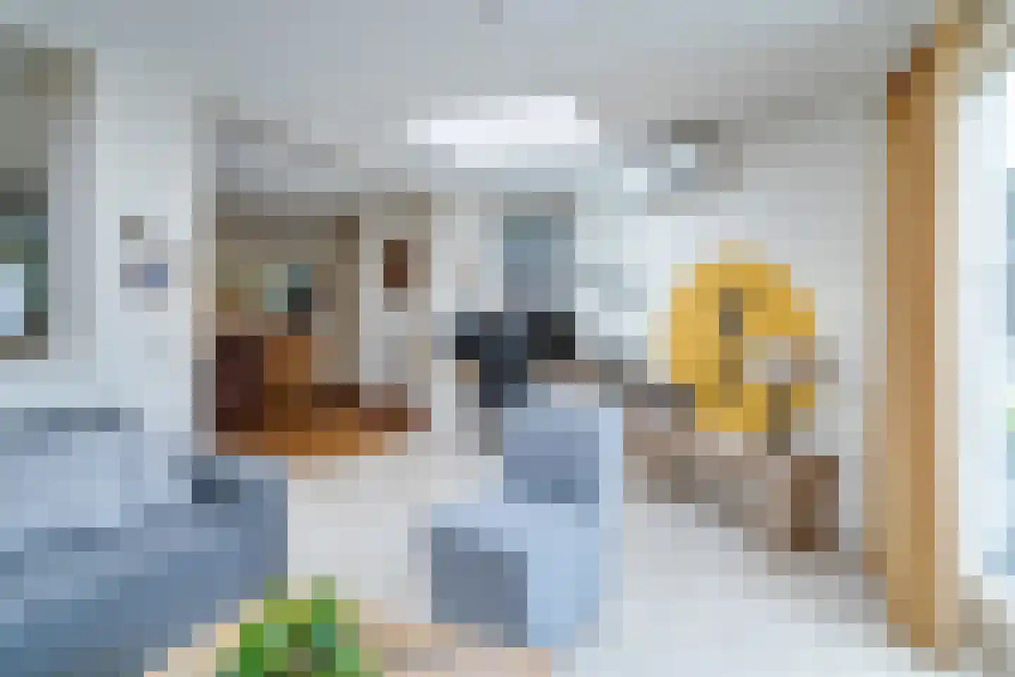 Heggerank 3 Echt thumbnail 20
