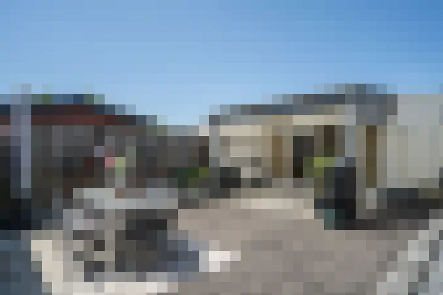 Heggerank 3 Echt thumbnail 27
