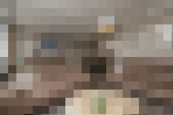 Heggerank 3 Noordwijkerhout thumbnail 10