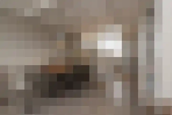 Heggerank 3 Noordwijkerhout thumbnail 11