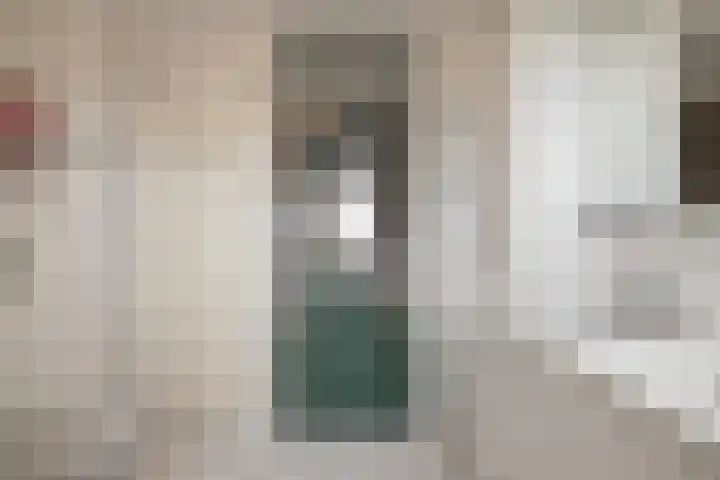 Heggerank 3 Noordwijkerhout thumbnail 19