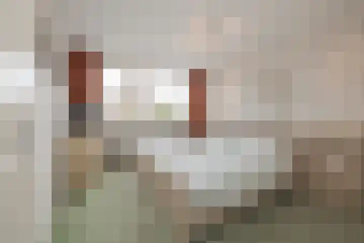 Heggerank 3 Noordwijkerhout thumbnail 25
