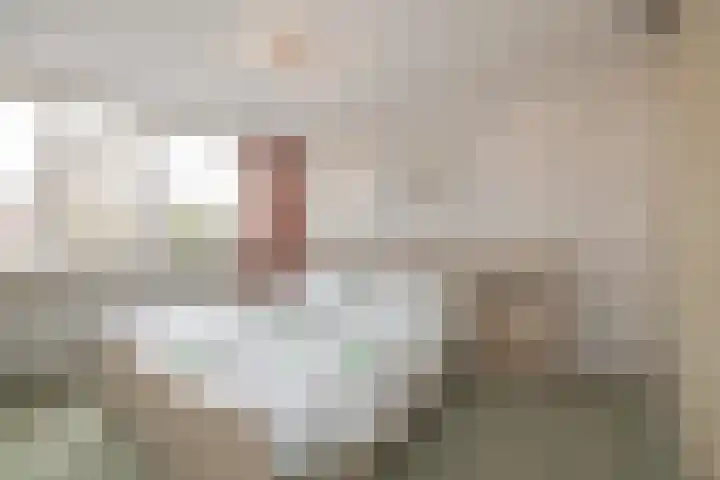 Heggerank 3 Noordwijkerhout thumbnail 26