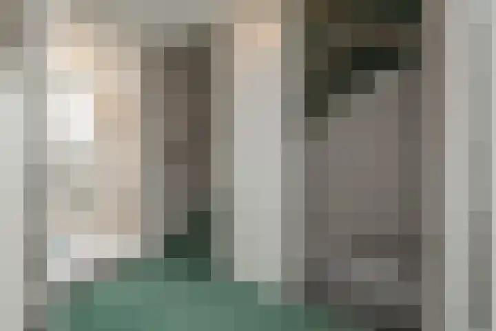 Heggerank 3 Noordwijkerhout thumbnail 27