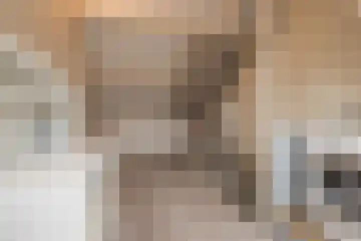 Heggerank 3 Noordwijkerhout thumbnail 28