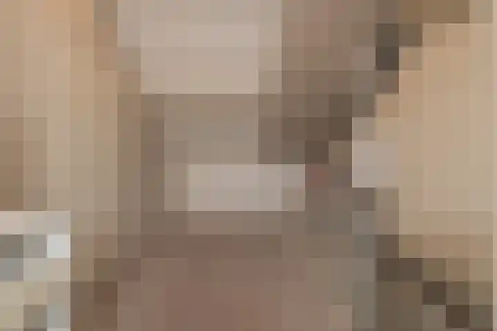 Heggerank 3 Noordwijkerhout thumbnail 29