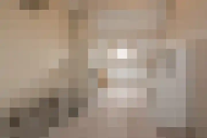Heggerank 3 Noordwijkerhout thumbnail 30