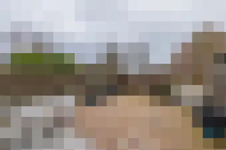 Heggerank 3 Noordwijkerhout thumbnail 34