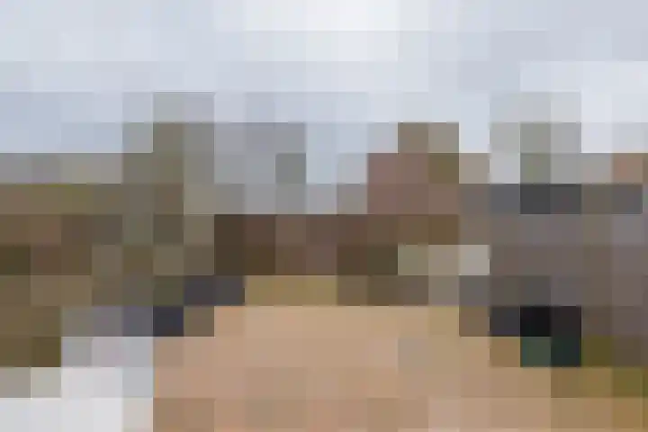 Heggerank 3 Noordwijkerhout thumbnail 35