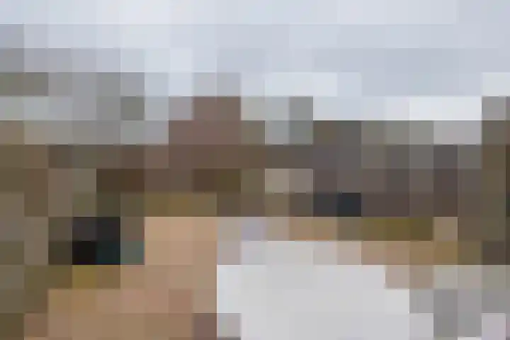 Heggerank 3 Noordwijkerhout thumbnail 36