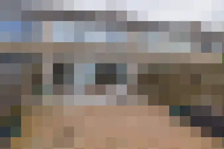 Heggerank 3 Noordwijkerhout thumbnail 38