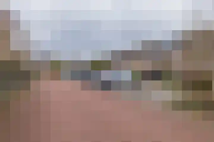 Heggerank 3 Noordwijkerhout thumbnail 39