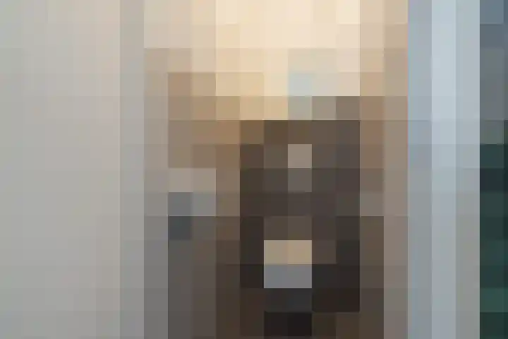 Heggerank 3 Noordwijkerhout thumbnail 4